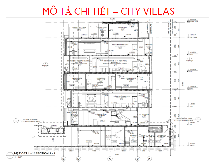 thiết kế city villa tnr evergreen quận 7